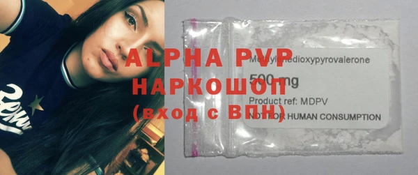 сатива Осинники