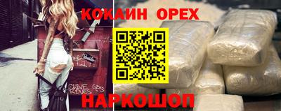 крисы Камышлов