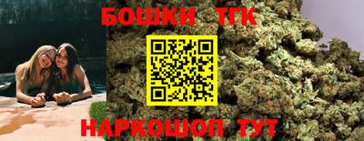 крисы Камышлов