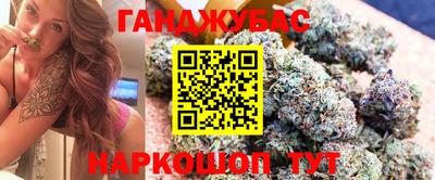 крисы Камышлов