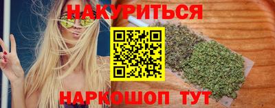 крисы Камышлов