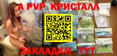 крисы Камышлов