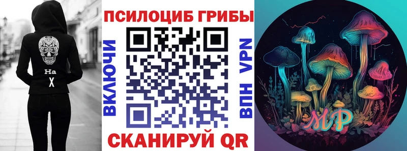 купить   Кулебаки  Галлюциногенные грибы Psilocybine cubensis 