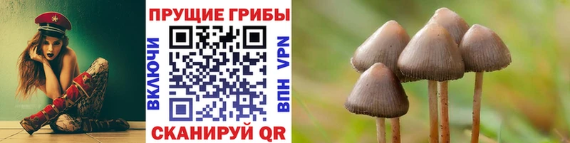 Псилоцибиновые грибы Cubensis Кулебаки