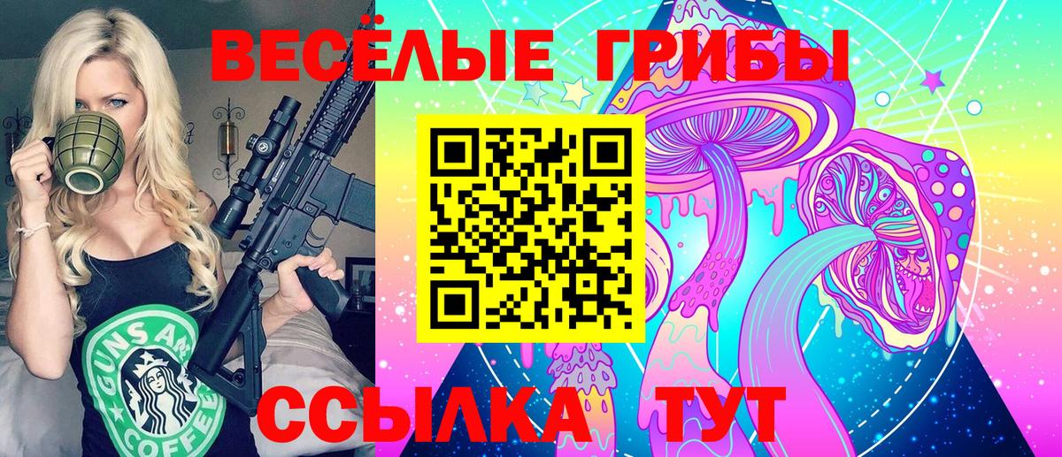 Псилоцибиновые грибы GOLDEN TEACHER Кулебаки