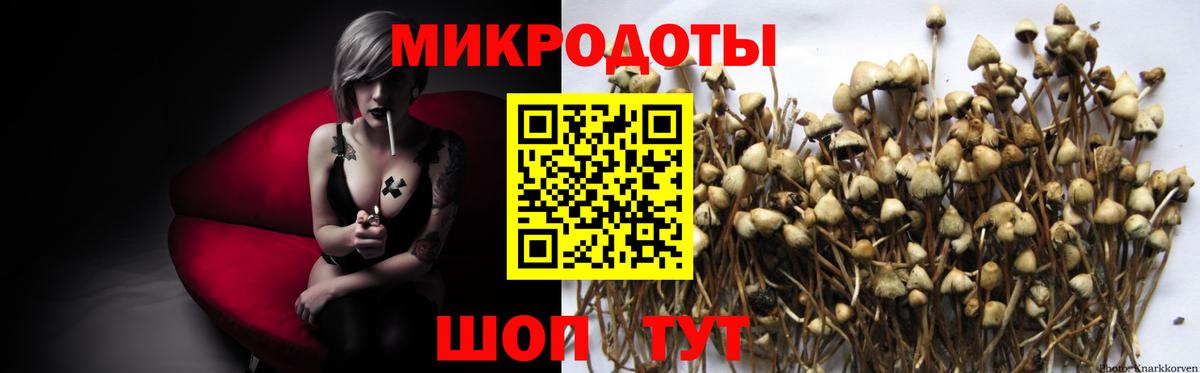 Кулебаки  Псилоцибиновые грибы Cubensis  Вход с VPN  Галлюциногенные грибы MAGIC MUSHROOMS 